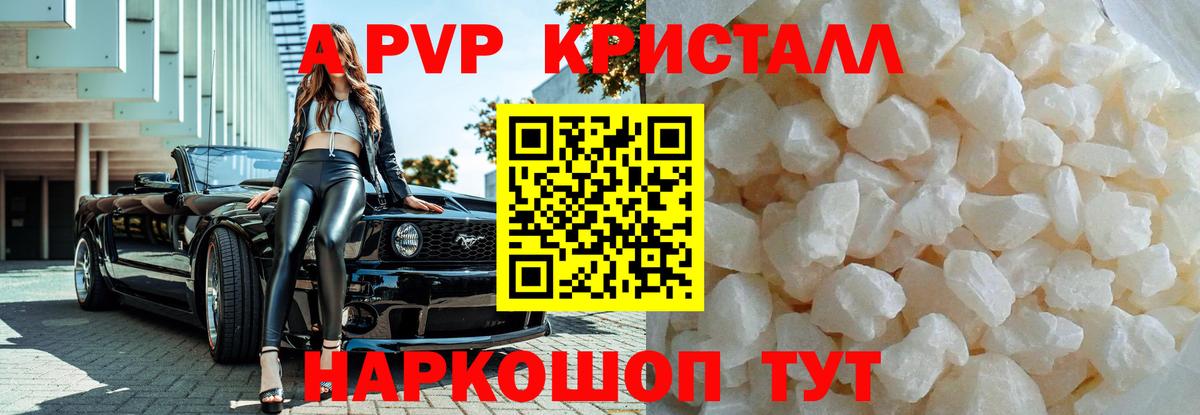 Альфа ПВП СК Пятигорск