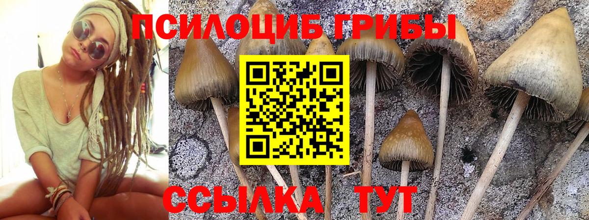 Галлюциногенные грибы GOLDEN TEACHER Пятигорск