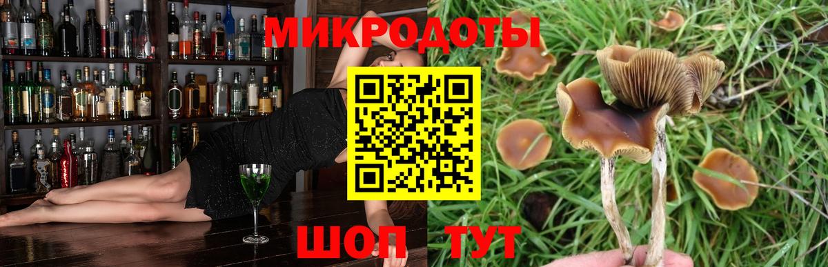 Псилоцибиновые грибы Psilocybe  Вход с VPN  Пятигорск  Галлюциногенные грибы Psilocybe 